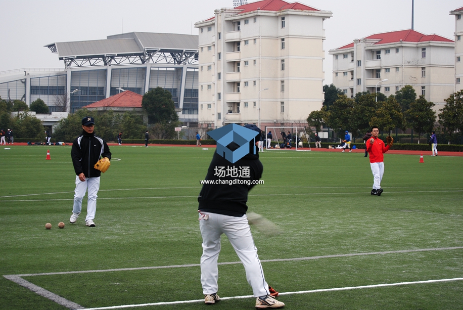 日本SMSL棒球协会2015年大联赛