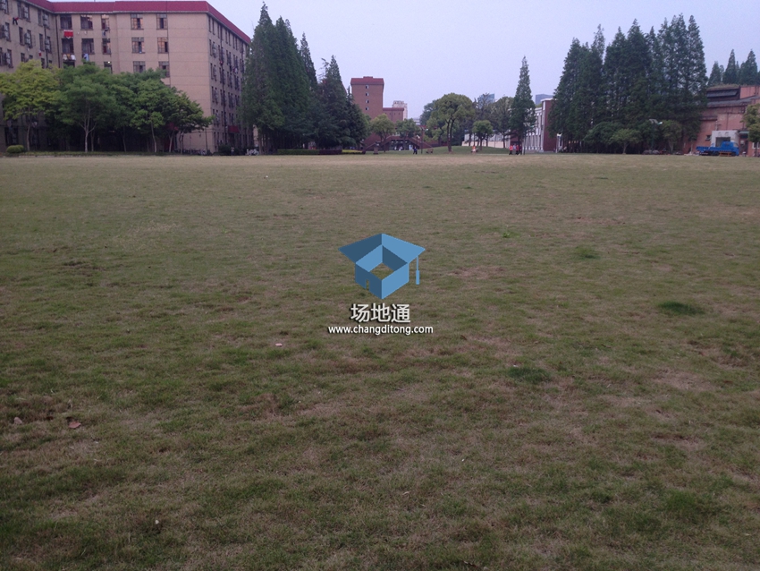 上海财经大学国定路校区大草坪