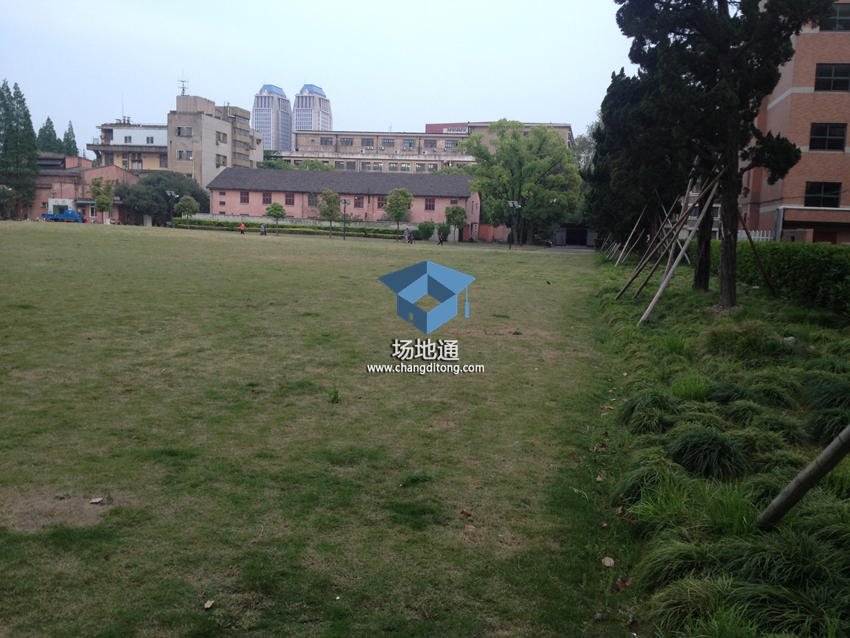 上海财经大学国定路校区大草坪